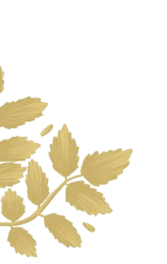 Tewkesbury Park luxury dry leaves